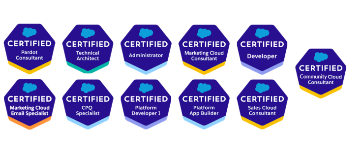 Salesforce consultant certifications held by Arwen